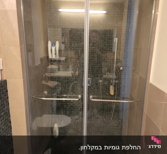 מקלחון עם דלתות זכוכית, בקבוקי שמפו ומקלחת יד